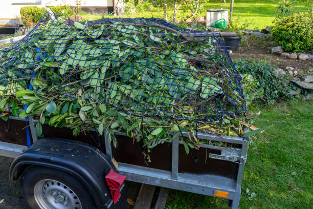 Best Carpet Removal and Disposal  in Strongsville, OH